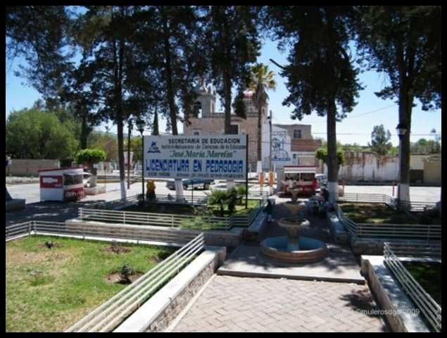 Calles y Colonias