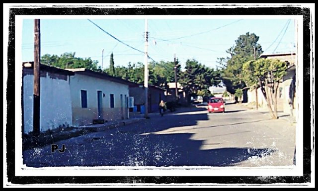 Calles y Colonias
