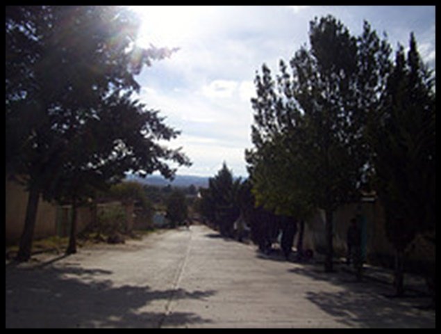 Calles y Colonias