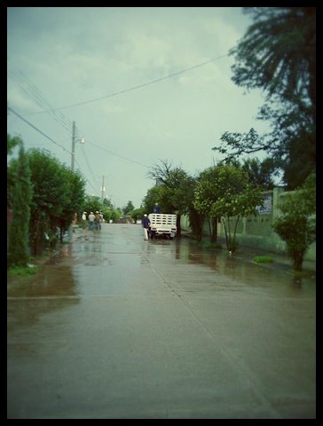 Calles y Colonias