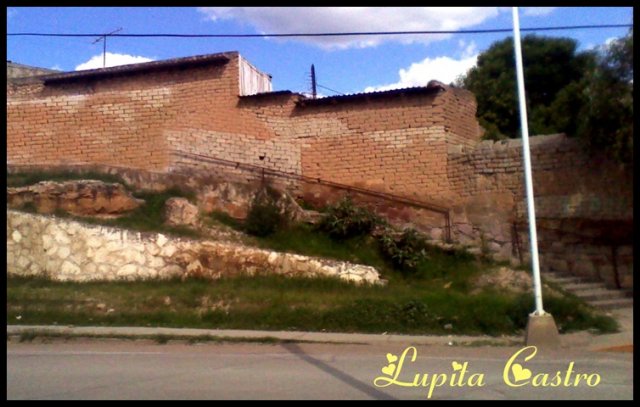 Calles y Colonias